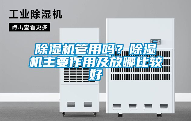 除濕機管用嗎?除濕機主要作用及放哪比較好