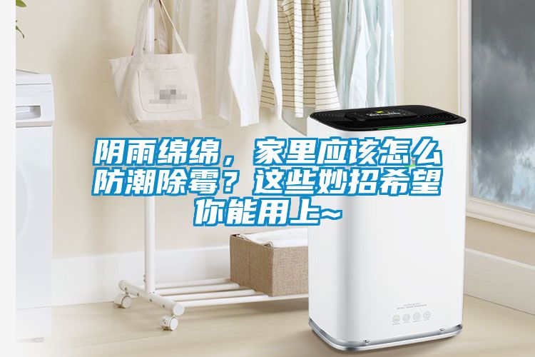 陰雨綿綿，家里應該怎么防潮除霉？這些妙招希望你能用上~