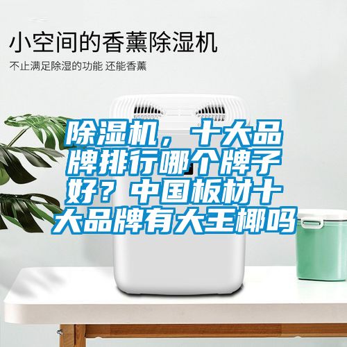 除濕機(jī),十大品牌排行哪個牌子好?中國板材十大品牌有大王椰嗎