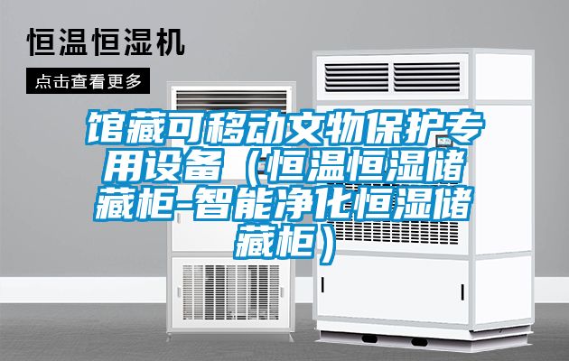 館藏可移動文物保護專用設備(恒溫恒濕儲藏柜-智能凈化恒濕儲藏柜)