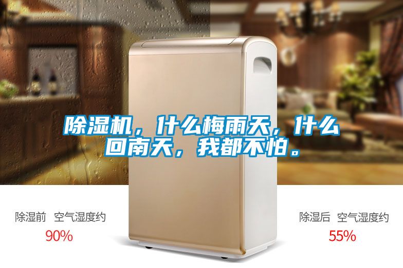 除濕機，什么梅雨天，什么回南天，我都不怕。