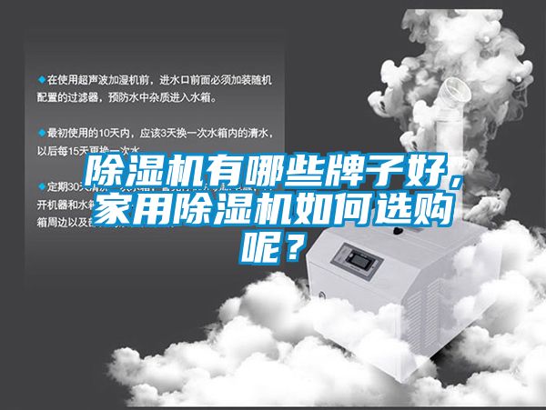 除濕機(jī)有哪些牌子好，家用除濕機(jī)如何選購呢？